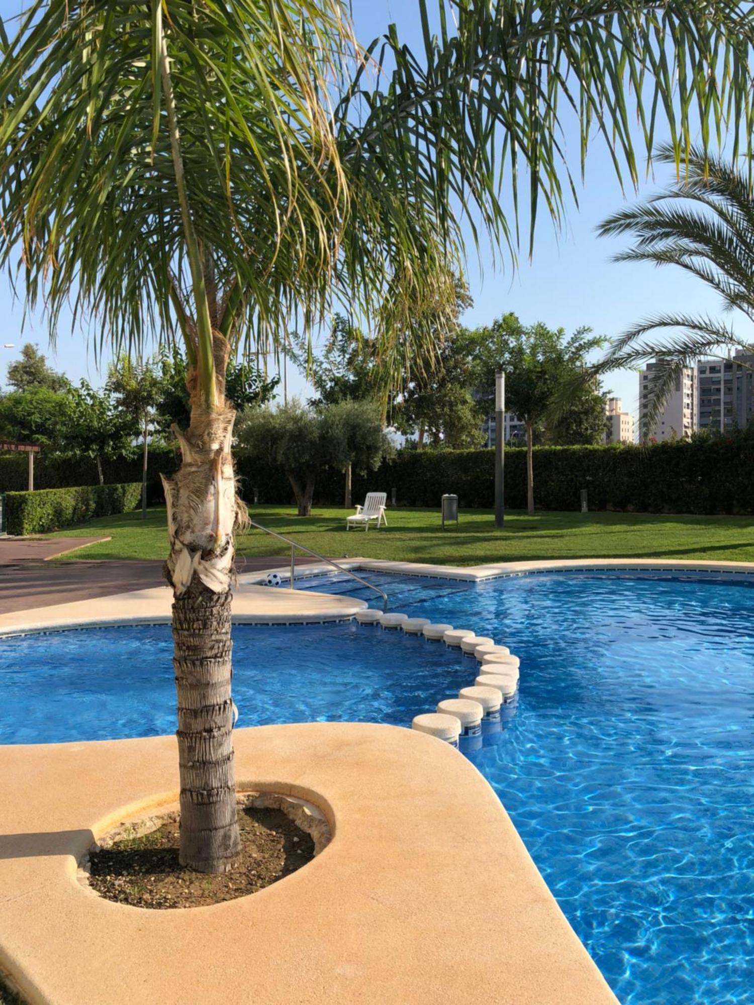 New Apartment In San Juan Playa, Alicante Pau5 외부 사진